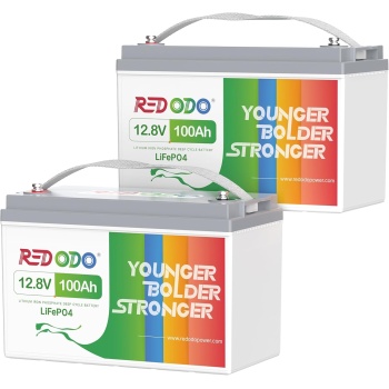 Redodo 2 Pack 12V 100Ah LiFePO4 Battery, Deep Cycle Battery with 100A BMS